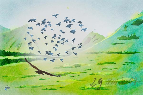 2017 - illustration - formation