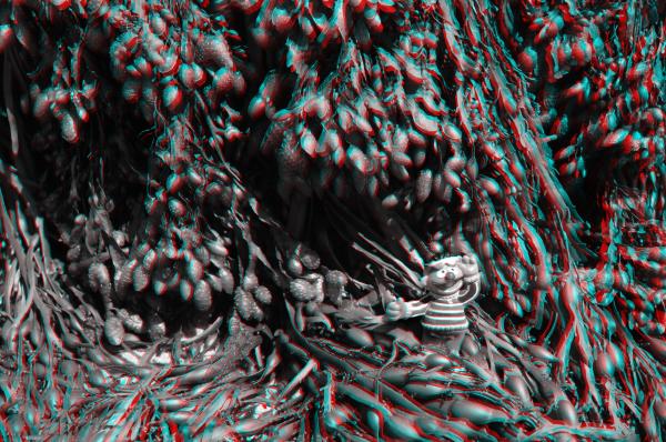 3D CMS CC-BY