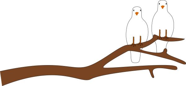A branch