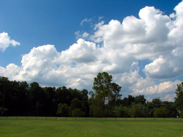 A grass field landscape