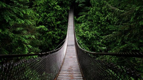 A hanging bridge