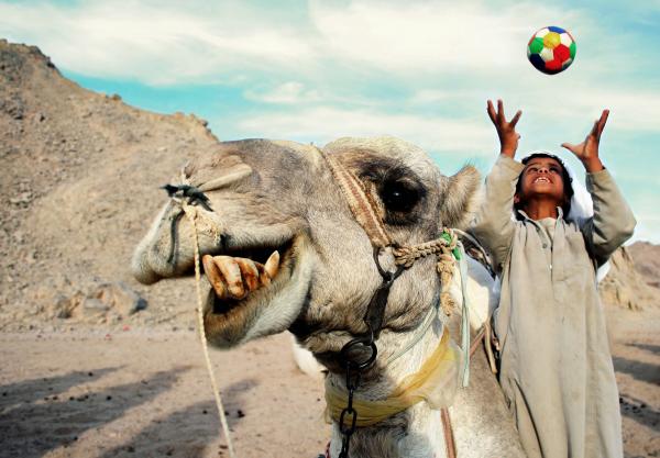 A happy camel and boy