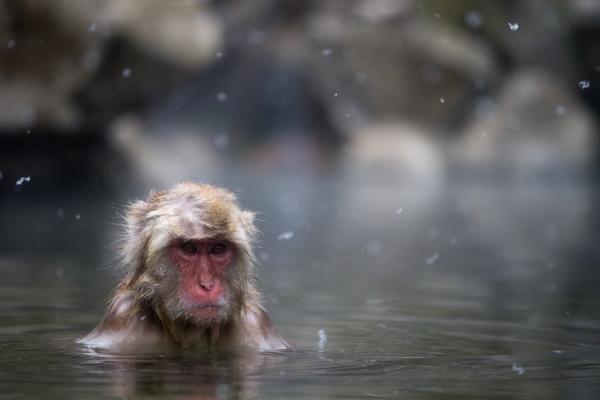 A Hot Bath