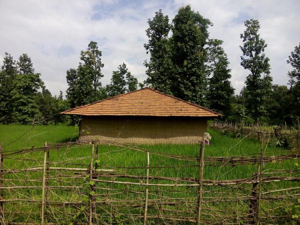 A Hut in Forest