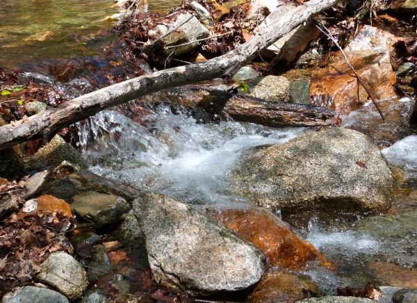 A lively little stream
