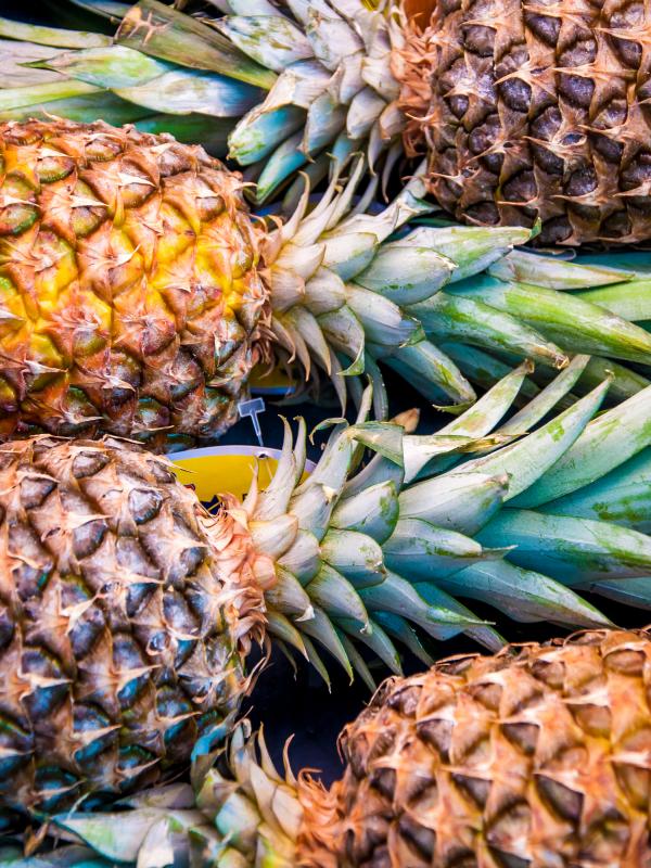 A lot of pineapple fruit background
