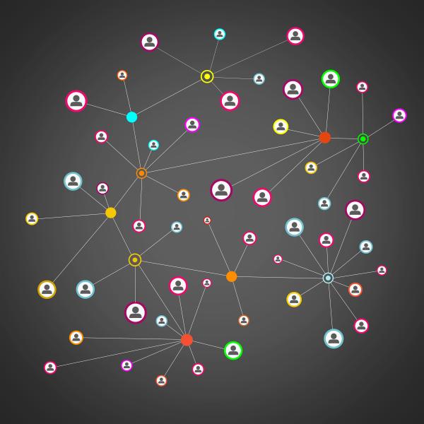 A network of people within an organization