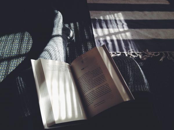 A Novel