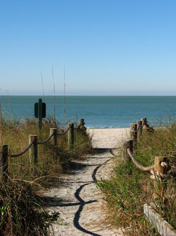A path heading to the beach