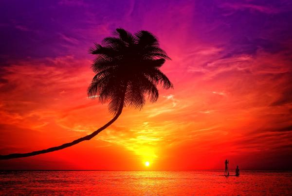 A romantic couple enjoying the sunset