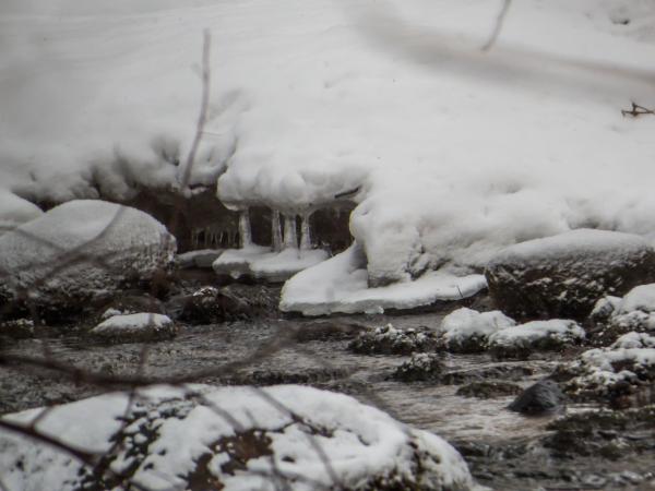 A small spring
