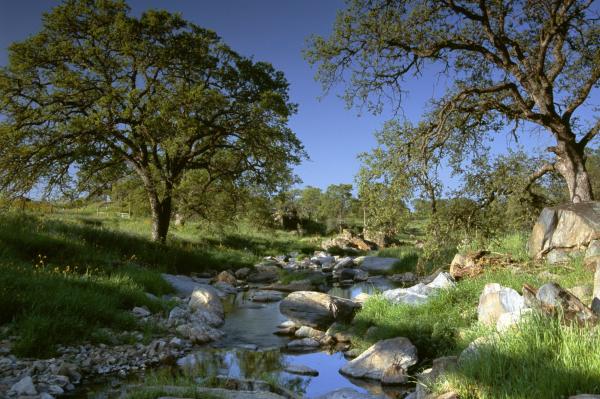 A small stream