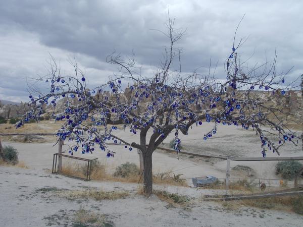 A tree in Cappadocia