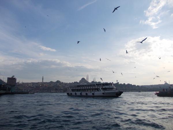 A View from Golden Horn