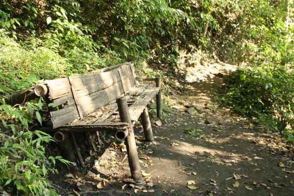 Abandoned bench in the forest
