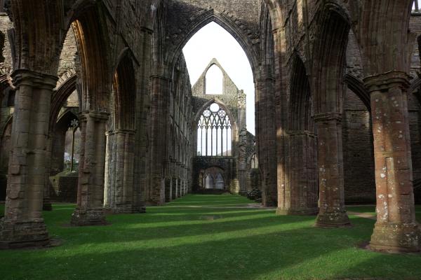 Abbey Ruins