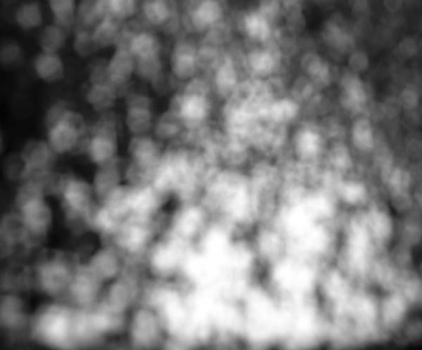 Abstract Black and White Lights