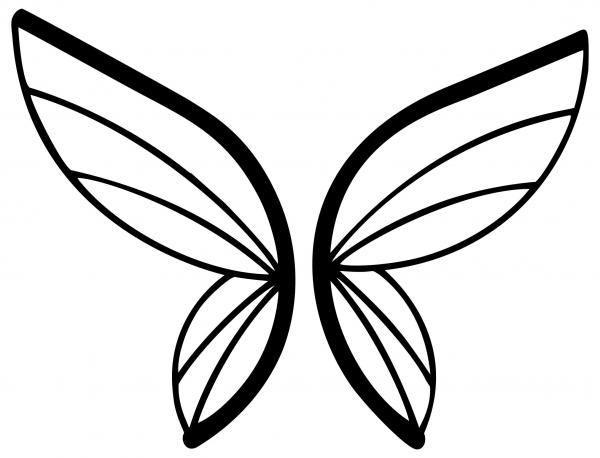 Abstract Buttfly