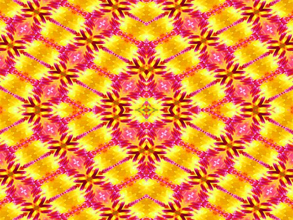 Abstract of Flower petals