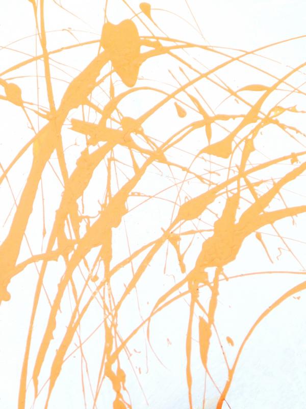 Abstract Paint Splat
