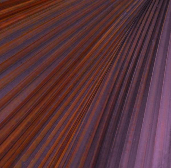Abstract Palm Leaf Background