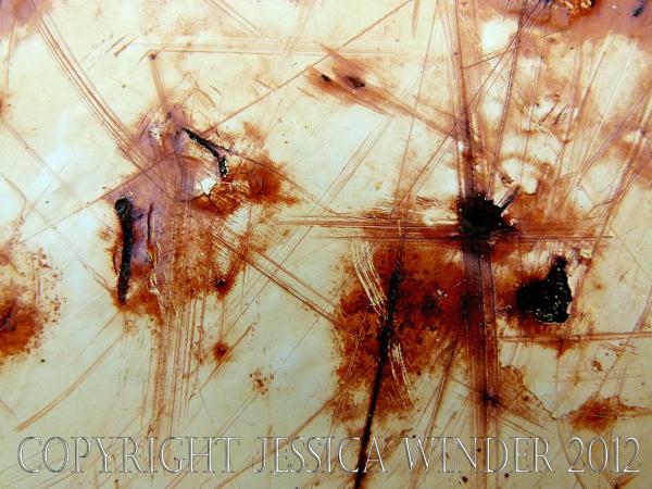 Abstract Rust