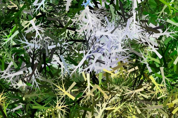 Abstract tree branches