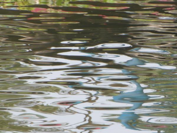 Abstract Water Ripples