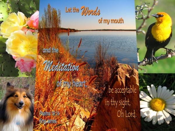 Acceptable Words and Meditation