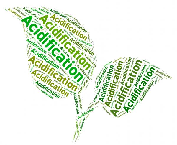 Acidification Word Means Environment Ph And Text