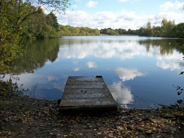Across the Lake