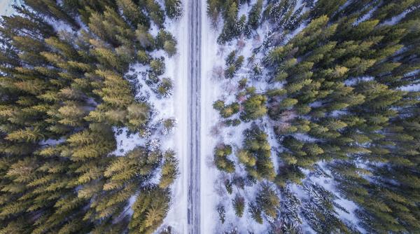 Aerial Shot