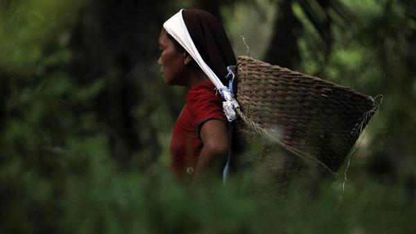 African Worker