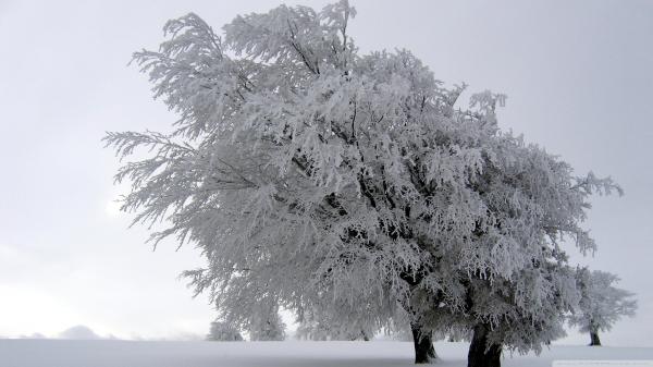 After the blizzard