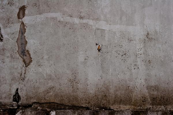 Aged Street Wall Texture