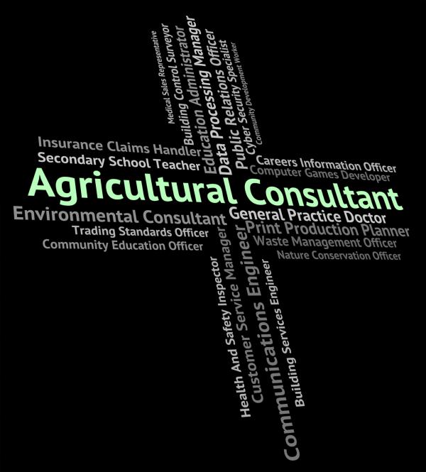 Agricultural Consultant Means Counsellor Consultation And Guide