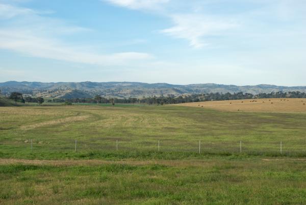 Agriculture