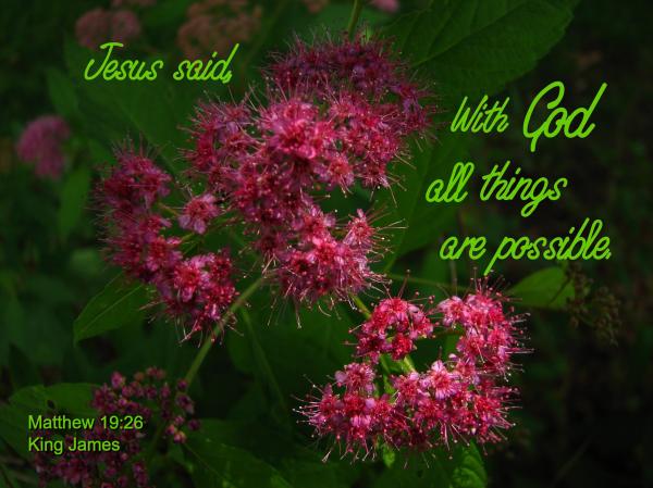 All Things are Possible with God