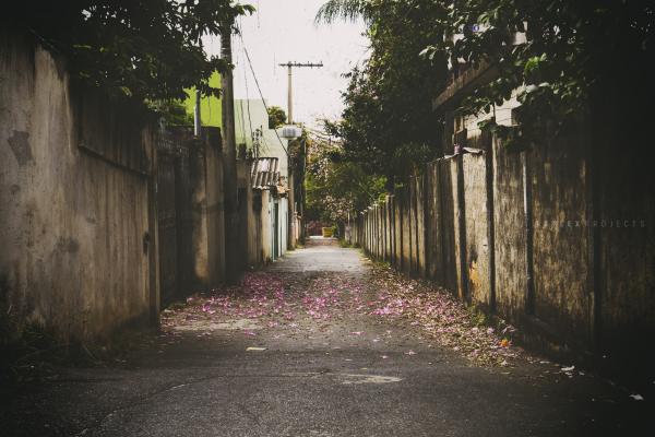 Alley