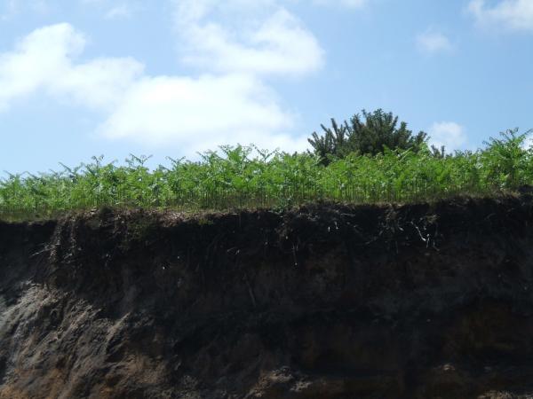 Almost at the top