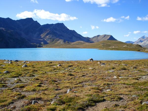 Alpine Lake