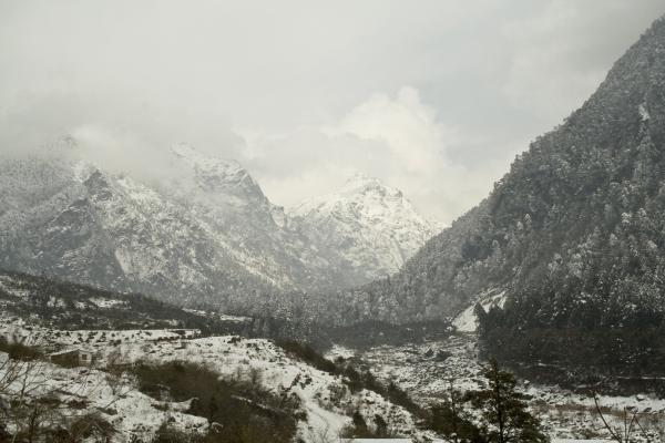 Alpine view
