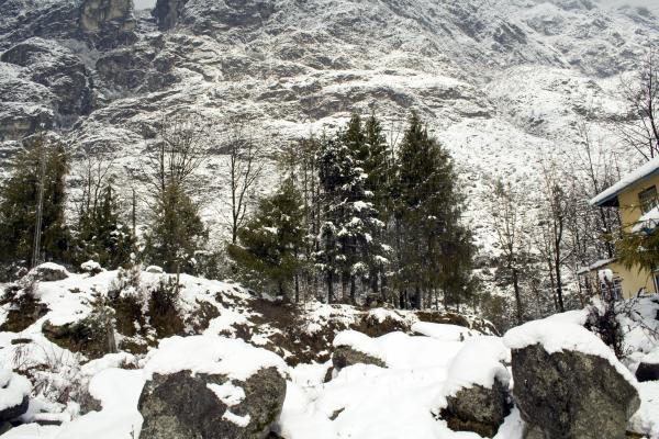 Alpine view