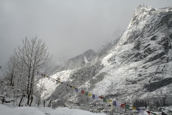 Alpine view
