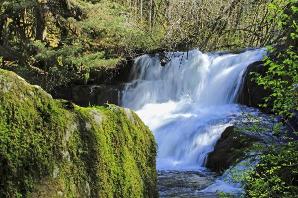 Alsea Waterfalls, Oregon