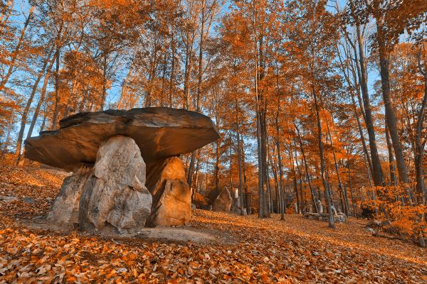 Amber Dolmen Forest - HDR