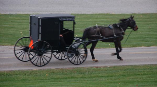 Amish Cart