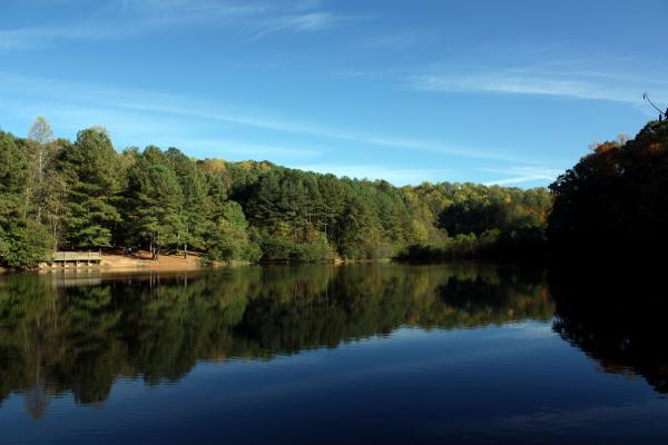 An autumn landscape of trees by a lake