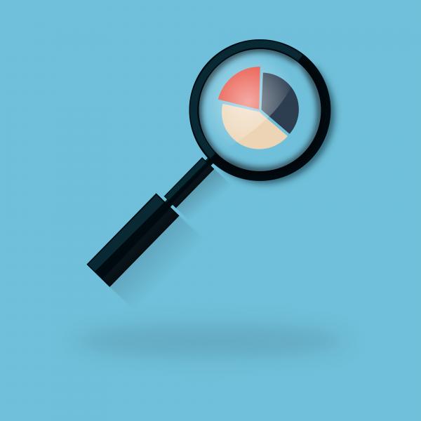 Analyzing a Pie Chart