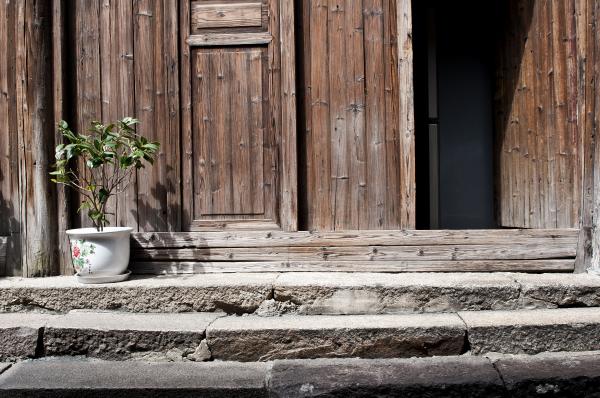 Ancient staircase with plants